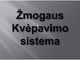 Žmogaus kvėpavimo sistema skaidrės