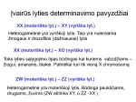 Lyties genetika 2