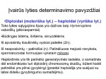 Lyties genetika 3