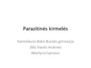 parazitines kirmeles skaidres