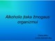 Alkoholio įtaka žmogaus organizmui