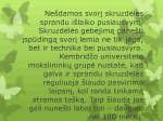 Skruzdės skaidrės 2