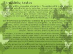 Skruzdės skaidrės 3