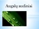 Augalų audiniai pristatymas