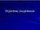 Organizmų dauginimasis pristatymas