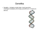 Genetikos pagrindai 2
