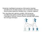 Genetikos pagrindai 3