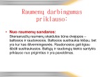 Raumenų veikla 3