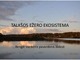 Talkšos ežero ekosistema