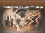 Stuburinių gyvūnų evoliucija skaidrės 1