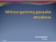 Mikroorganizmų pasaulio atradimas