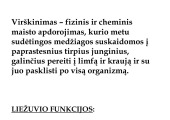 Žmogaus virškinimo sistema, burnos sandara 2
