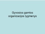 Gyvosios gamtos organizacijos lygmenys 1