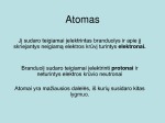 Gyvosios gamtos organizacijos lygmenys 2