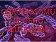 Chromosomų ir genų mutacijos