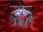 Kraujas ir kraujotaka 1