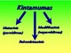 Mutacinis kintamumas