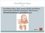 Gemalo genetinių tyrimų reikšmė paveldimosioms ligoms diagnozuoti 2