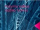 Požymių raiškos dažnio tyrimas