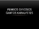 Penkios gyvosios gamtos karalystės