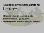 Abiotiniai veiksniai 2
