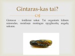 Skaidrės apie gintarą 2