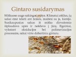 Skaidrės apie gintarą 3