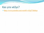 Skrandžio vėžys skaidrės 3