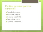 Penkios gyvosios gamtos karalystės skaidrės 3
