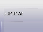 Lipidai skaidrės 1