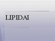 Lipidai skaidrės