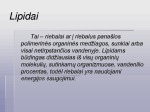 Lipidai skaidrės 2