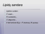 Lipidai skaidrės 3