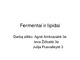 Fermentai ir lipidai