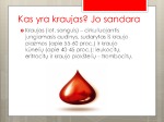 Kraujas. Kraujo sandara. Kraujo grupės Ligos 3