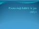 Pastovioji būklė ir jos rūšys