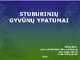 Stuburinių gyvūnų ypatumai