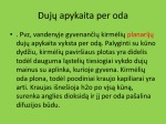 Dujų apykaita skaidrės 3