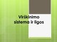 Virškinimo sistema ir ligos prezentacija