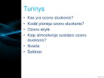 Skaidrės apie Ozoną 2