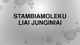 Stambiamolekuliai junginiai skaidrės