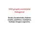 VIIA grupės nemetalai - halogenai
