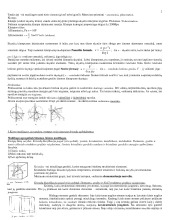 Fizikinės chemijos 1 kolis konspektas 2