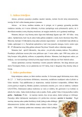 Auksas referatas 3