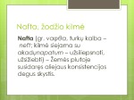 Nafta.skaidrės 2