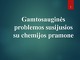 Gamtosauginės problemos susijusios su chemijos pramone