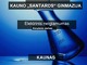 Elektrinis neigiamumas