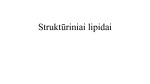 Struktūriniai lipidai 1