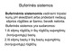 Buferinės sistemos 
