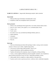 valiuta serbija forex